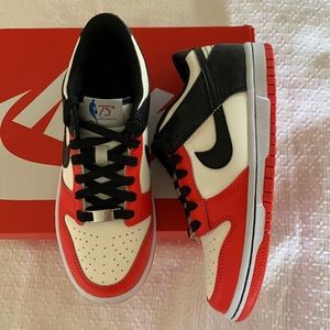 Nike Dunk Low EMB NBA 75th Anniv Chicago